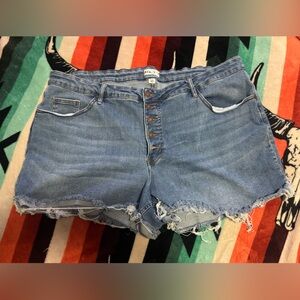 Ava & Viv Distressed Denim Shorts 24W Button Fly